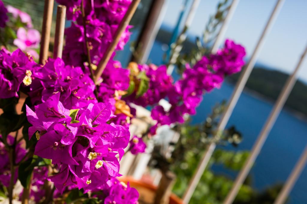 Apartment Love And Hope Dubrovnik Ngoại thất bức ảnh